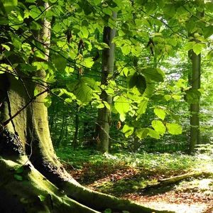 Meet your Posher, Leighash